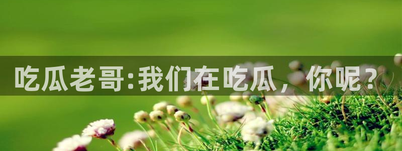 黑料事件真伪核验