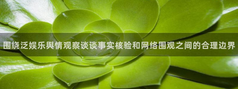 职场黑料真伪核验