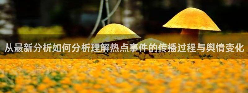 娱乐黑料