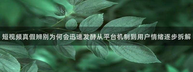 热门黑料当事人回应